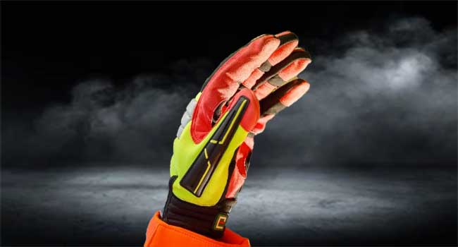 elysee hand protection