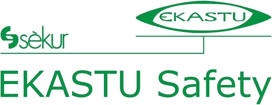 Ekastu safety helmet P4